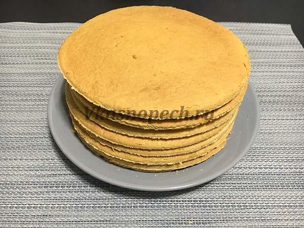 коржи для медовика