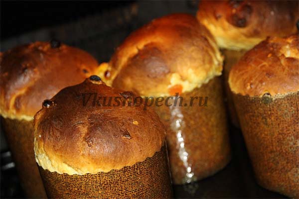 кулич из александрийского теста